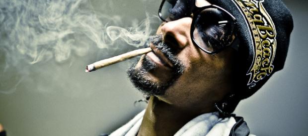 Canadian weed stocks soar after Snoop Dogg launches three strains - factmag.com Canadian weed stocks soar after Snoop Dogg launches three strains - factmag.com