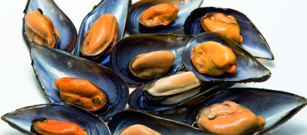 Dos recetas con mejillones ¡Rápidas y con pocos ingredientes! - i24Web - i24web.com Dos recetas con mejillones ¡Rápidas y con pocos ingredientes! - i24Web - i24web.com