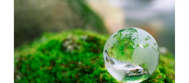 El mercado internacional de bioplásticos crecerá un 20% en 5 años ... - interempresas.net El mercado internacional de bioplásticos crecerá un 20% en 5 años ... - interempresas.net