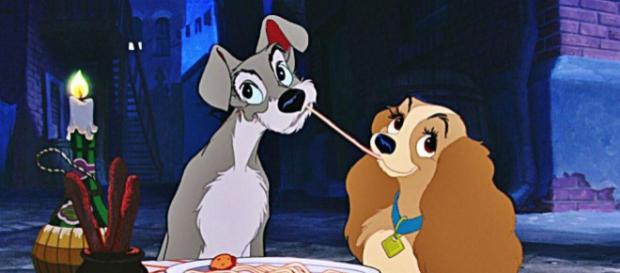 In arrivo lilli e il vagabondo live action In arrivo lilli e il vagabondo live action