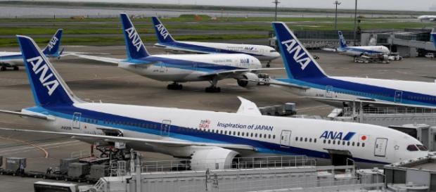 Niña sufre por su cachorro muerto en vuelo de United Niña sufre por su cachorro muerto en vuelo de United