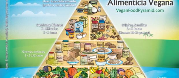 Pirámide alimenticia de la dieta vegana. - marchasyrutas.es Pirámide alimenticia de la dieta vegana. - marchasyrutas.es
