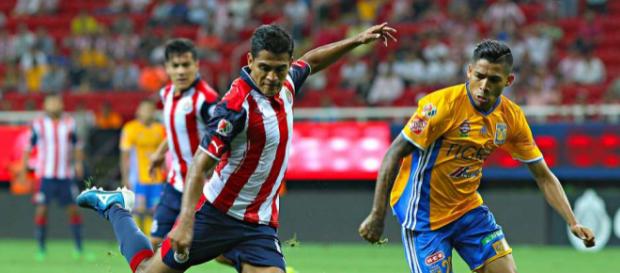 Tigres y Chivas se enfrentan por liga mx Tigres y Chivas se enfrentan por liga mx