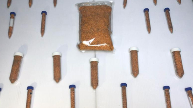 Turchia, sequestrato ingente quantitativo di Californio | yenisafak.com