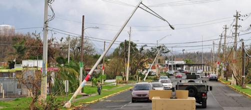 Damaged power supply lines after Hurricane Maria. - [Image credit - Waldemar Rivera, Wikimedia Commons]