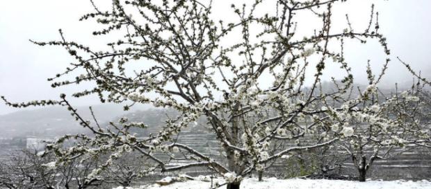 Cambio climático: Huracanes, inundaciones y temperaturas extremas ... - elconfidencial.com Cambio climático: Huracanes, inundaciones y temperaturas extremas ... - elconfidencial.com