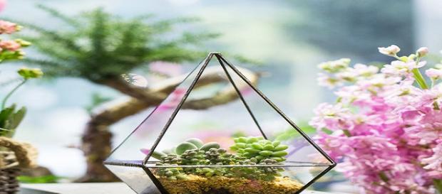 Tu consejo semanal géminis: crea un espacio de sostenedores de plantas Tu consejo semanal géminis: crea un espacio de sostenedores de plantas