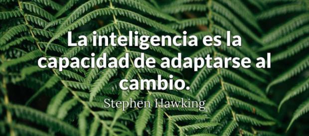 Un hombre inteligente comete un error, aprende de él y nunca ... - brainyquote.com Un hombre inteligente comete un error, aprende de él y nunca ... - brainyquote.com