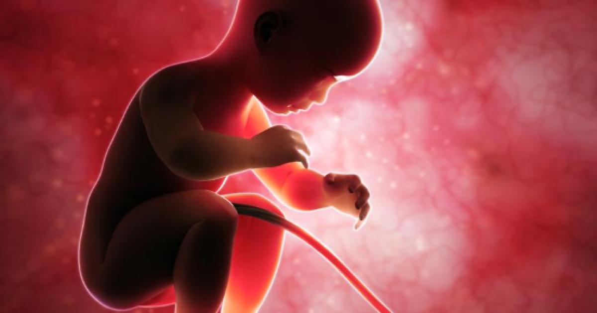 Gravidanza prodotti con bisfenolo A pericolosi per il feto, ecco quali sono Gravidanza prodotti con bisfenolo A pericolosi per il feto, ecco quali sono