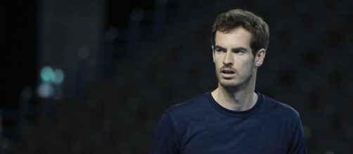 Andy Murray during a Davis Cup action. (image Credit: Marianne Bevis/Flickr)