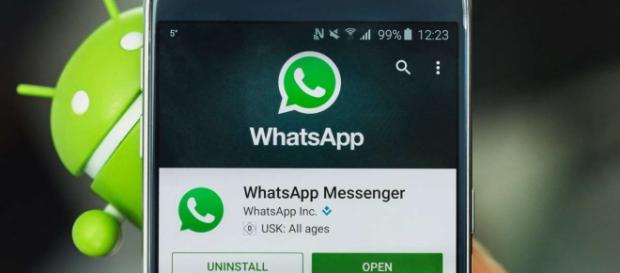 Esta es la nueva función de WhatsApp para Android - msn.com Esta es la nueva función de WhatsApp para Android - msn.com