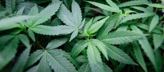 Los fumadores de marihuana desafían los estereotipos | CNN - cnn.com Los fumadores de marihuana desafían los estereotipos | CNN - cnn.com