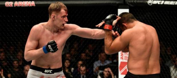 Volkov está invicto en la UFC y apunta a ser retador del cetro completo. fightbooth.com. Volkov está invicto en la UFC y apunta a ser retador del cetro completo. fightbooth.com.