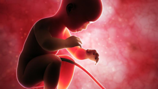 Gravidanza,prodotti con bisfenolo A pericolosi per il feto, ecco quali sono