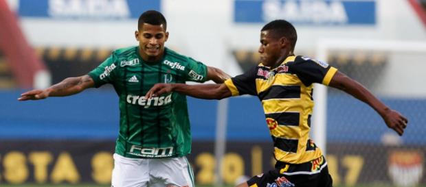 Palmeiras tem ampla vantagem nas quartas de final Palmeiras tem ampla vantagem nas quartas de final