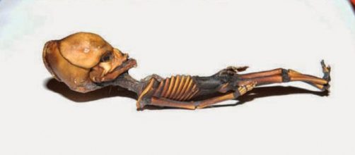 Risolto in Cile il mistero dello scheletro di Atacama.