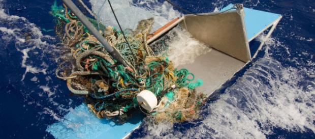 Enquirer on Twitter: "World's largest collection of ocean garbage ... - (Image Credit: AJPlus/Twitter) Enquirer on Twitter: "World's largest collection of ocean garbage ... - (Image Credit: AJPlus/Twitter)