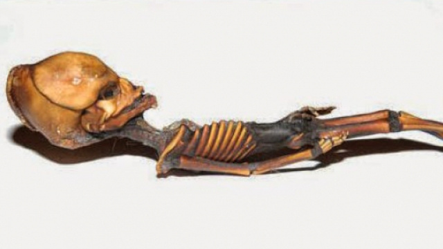 Risolto in Cile il mistero dello scheletro di Atacama.