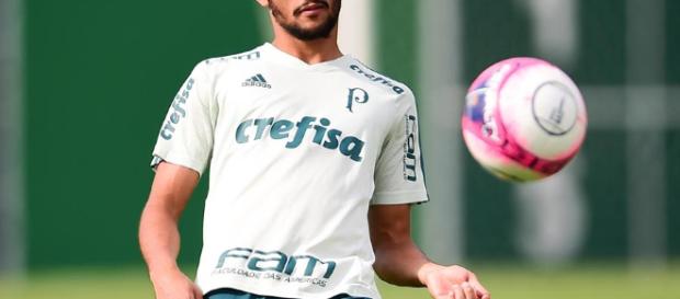 Gustavo Scarpa, meia do Palmeiras. (foto reprodução). Gustavo Scarpa, meia do Palmeiras. (foto reprodução).