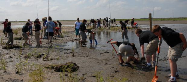 Louisiana loses its wetlands to erosion at a rate of nearly 25 square miles a year (Image credit – Louisiana GOHSEP, Wikimedia Commons) Louisiana loses its wetlands to erosion at a rate of nearly 25 square miles a year (Image credit – Louisiana GOHSEP, Wikimedia Commons)