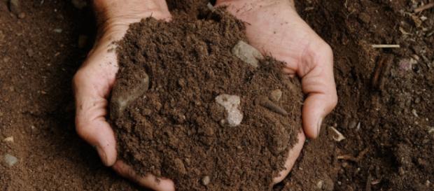 Progetto Geneo: presenza di pericolosi inquinanti ambientali ad azione genotossica nel suolo del territorio salentino - foto:agripiudabenito.com Progetto Geneo: presenza di pericolosi inquinanti ambientali ad azione genotossica nel suolo del territorio salentino - foto:agripiudabenito.com