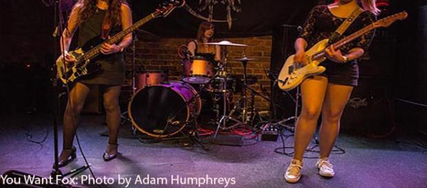 You Want Fox: byAdam Humphreys You Want Fox: byAdam Humphreys