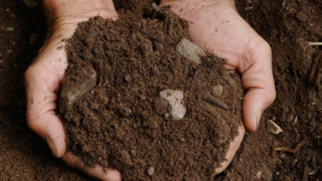 Progetto Geneo: presenza di pericolosi inquinanti ambientali ad azione genotossica nel suolo del territorio salentino - foto:agripiudabenito.com
