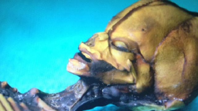 Svelato il mistero dello scheletro di Atacama: non &egrave; un alieno, ma un feto umano