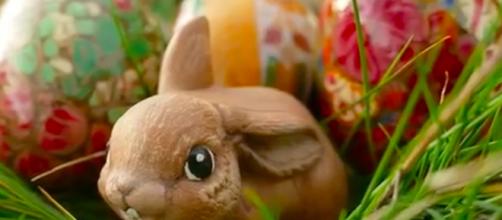 A bunny rabbit is the most recognized animal representing the Easter holiday- Image credit - [b/60/YouTube]