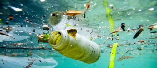 Inquinamento: isola di plastica nell'oceano Pacifico