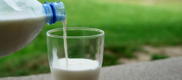 La leche cruda es aquella que proviene de las vacas, ovejas o cabras y que no ha pasado por el proceso de pasteurización La leche cruda es aquella que proviene de las vacas, ovejas o cabras y que no ha pasado por el proceso de pasteurización