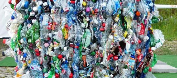 La solución es ponerle fin a nuestra adición a los plásticos de usar y tirar. La solución es ponerle fin a nuestra adición a los plásticos de usar y tirar.