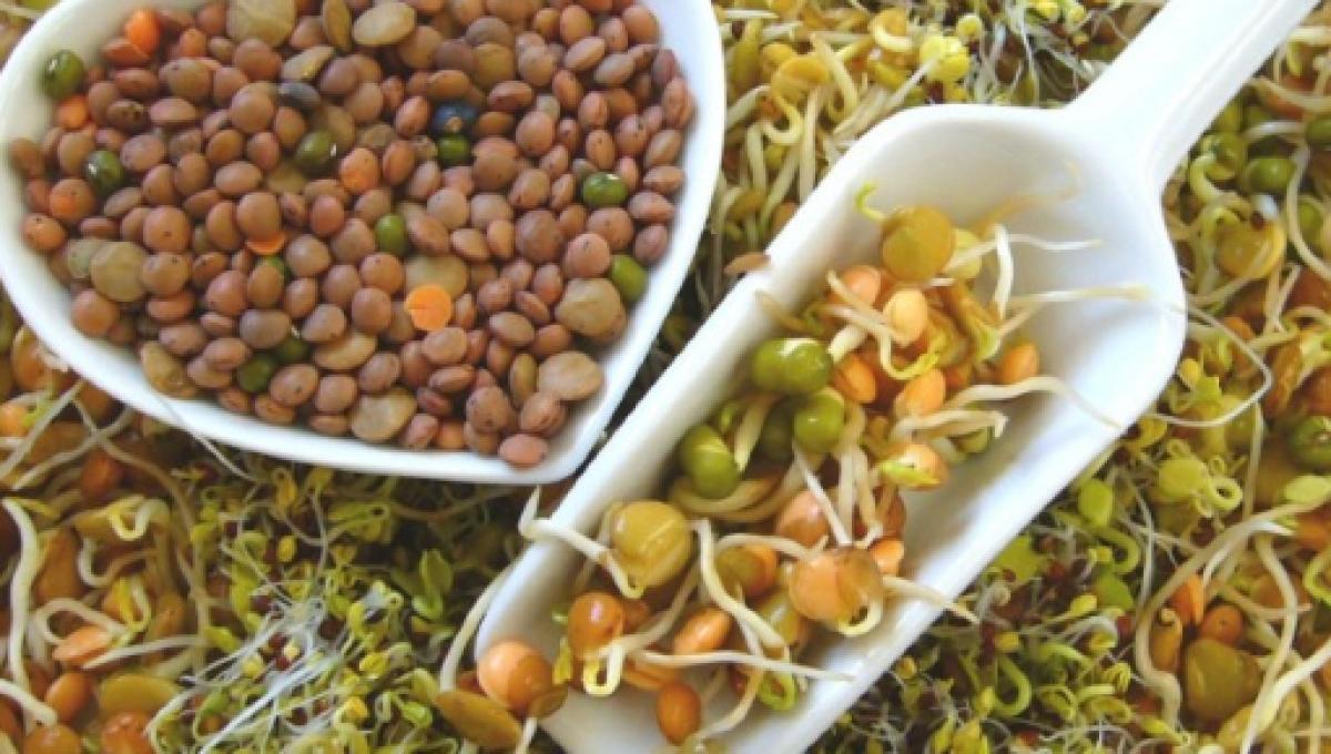 Que es la macrobiótica Que es la macrobiótica