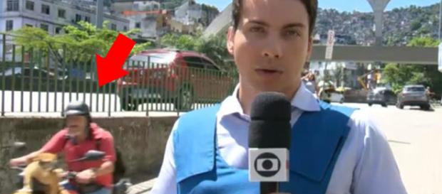 Gato motoqueiro aparece em link ao vivo da Globo. (Foto: Reprodução/TV Globo) Gato motoqueiro aparece em link ao vivo da Globo. (Foto: Reprodução/TV Globo)
