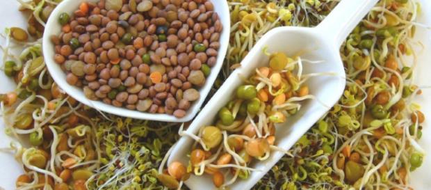 La dieta macrobiótica es una forma de interpretar la nutrición fundamentada en el consumo de granos,cereales integrales, legumbres, verduras etc La dieta macrobiótica es una forma de interpretar la nutrición fundamentada en el consumo de granos,cereales integrales, legumbres, verduras etc