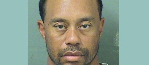 Tiger Woods' fall from grace recounted in new book. [Image Credit: Palm Beach Sheriff Depart.]