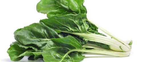La acelga es un vegetal con muchisima fibra, contiene y provee a nuestro organismo vitamina A y K.