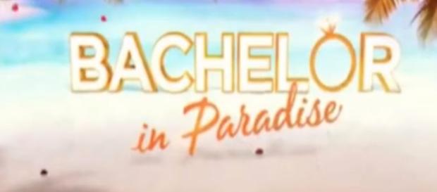 Bachelor in Paradise Australia - Image credit - The Bachelor Worldwide | YouTube Bachelor in Paradise Australia - Image credit - The Bachelor Worldwide | YouTube