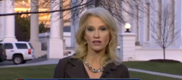 Kellyanne Conway on Fox, via Twitter Kellyanne Conway on Fox, via Twitter