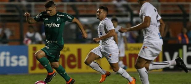 Palmeiras e Santos se enfrentam em partida decisiva nesta terça-feira, dia 27 - Foto: Reprodução / Facebook Oficial SE Palmeiras Palmeiras e Santos se enfrentam em partida decisiva nesta terça-feira, dia 27 - Foto: Reprodução / Facebook Oficial SE Palmeiras