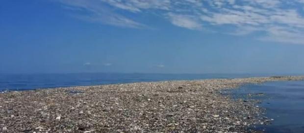 Alerta por aumento de basura plástica en el Océano Pacífico Alerta por aumento de basura plástica en el Océano Pacífico