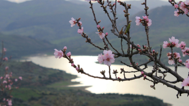 Previsioni meteo: tendenze metereologiche per aprile 2018