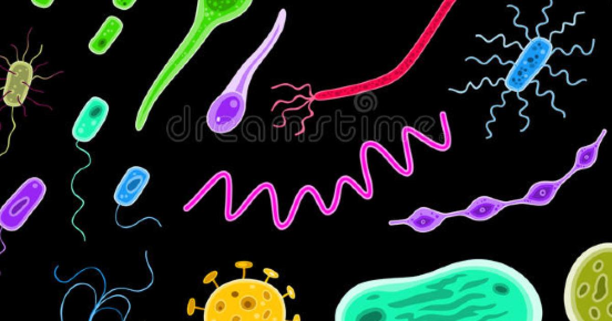 Diferencias entre los virus y las bacterias