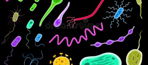 Bacterias y virus ilustración del vector. Ilustración de bacterias ... - dreamstime.com