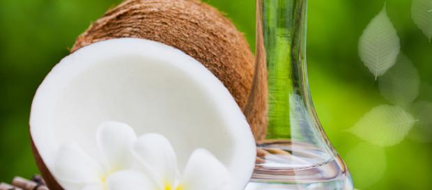 El Aceite de Coco - Su Usos y Beneficios El Aceite de Coco - Su Usos y Beneficios