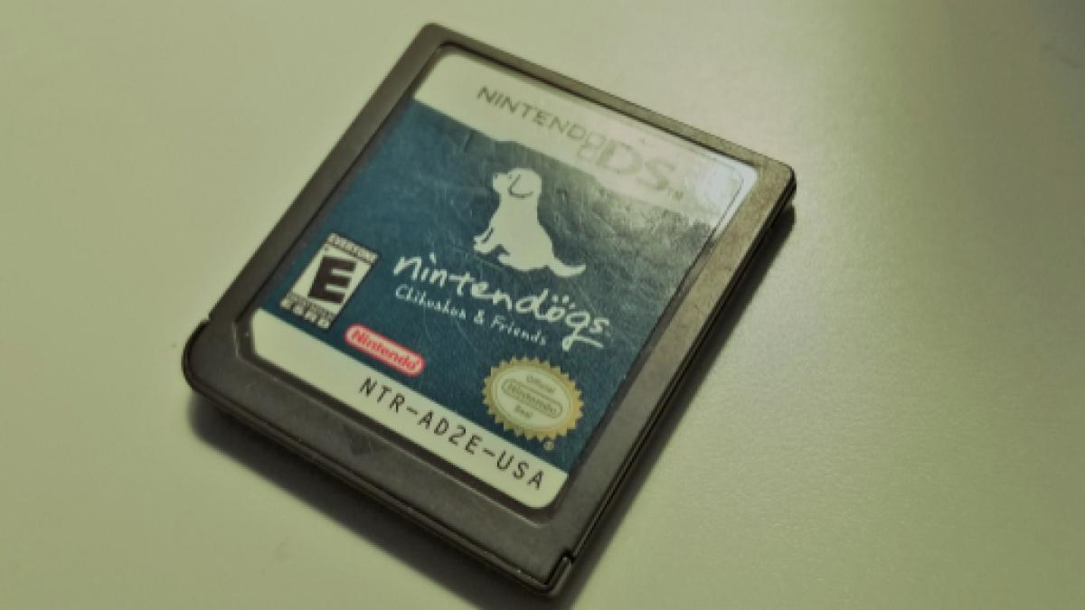 Whatever Happened To Nintendogs