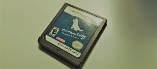 my first and only edition of 'Nintendogs' - image via me