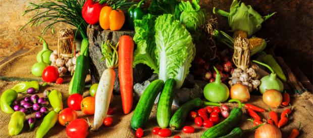 Dietas Para Adelgazar: Guia Definitiva Con Recetas y Tips! - tipsnutritivos.com Dietas Para Adelgazar: Guia Definitiva Con Recetas y Tips! - tipsnutritivos.com