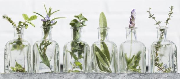 Seasonal Allergies Got You Down? Try THESE Natural Remedies Now ... (Image credit: blog-well/Youtube) Seasonal Allergies Got You Down? Try THESE Natural Remedies Now ... (Image credit: blog-well/Youtube)