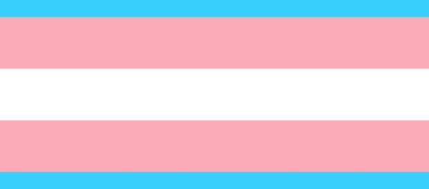 Trans women are 4.3 times more likely to be murdered compared to cis women in America, according to the HRC and Trans People of Colour Coalition. Trans women are 4.3 times more likely to be murdered compared to cis women in America, according to the HRC and Trans People of Colour Coalition.